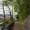 2024/04/12 羽村・拝島散歩 02 坂/伏見稲荷神社/根岸地蔵/奈賀会館/羽村市消防団4分団/石塔/田ノ上児童遊園
