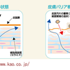 顔の乾燥はお肌の免疫力低下を招きます！