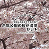 【桜情報2022】今年の木場公園はお花見できる？ / 木場公園 @木場