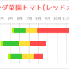 2017年のベランダ菜園のトマト(レッドオーレ)まとめ