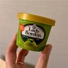 久しぶりに“シンプルな抹茶アイス"を見つけた♡レディーボーデンの抹茶が美味しかった話🍵