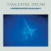 今日の1枚：Underwater Sunlight