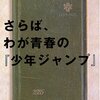 「主人公の特徴だけで作品を特徴付けたつもりになれる言葉」の過ちと罠