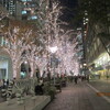 １２．３１．（日・曇）大みそか。埼玉。