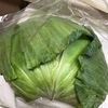 ＃キャベツ　198円