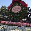 【ディズニーシー】フード＆ワイン・フェスティバルに行ってきたよ