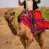 インド　ジャイサルメール　キャメルサファリ　ラクダに乗って砂漠へ－２