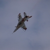 2012 入間基地航空祭　戦闘機展示