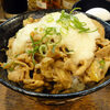 今日のお食事　夕食にすた丼