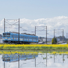 春の近江鉄道