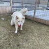 いつまでも続くボール遊び