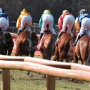 重賞攻略法〜競馬収支をプラスにする来年も使える攻略法