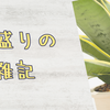 本日もつめつめの雑記