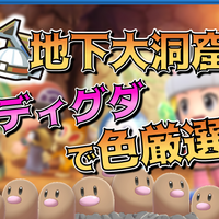色違い ダイパプラチナで出来る色違い厳選 ポケモン Club Shiny S Blog 2号館
