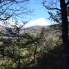 tochikoな山歩き　渡り鳥