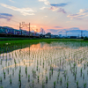 夕映えの伊豆箱根