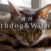 【12月15日版】話題：愛犬の出産、老犬アルバム200匹達成　　【週刊WD&WC】［2019.12.15］