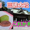 静岡最強のパワースポット⁉︎　三嶋大社が凄すぎた…！源頼朝ゆかりの神社　4K