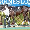 ８日に栗東・大久保厩舎へ帰厩しています。☆カミニートデルレイ