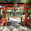京都「大原野神社」アサギマダラ　2026　2回目