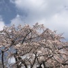 親知らずの２本抜きをしたらアゴがとんでもない事に