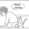 猫で、体も心も温まる