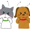 ﾉﾐが増えています！！