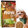 愛犬の食いつき激変！？ナウフレッシュ超小粒ドッグフード(グレインフリー)で小型犬の食事が変わった驚きの理由