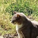 yuuyuuがだらだら文章化するだけ