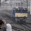 E217系 Y-42編成 11両編成最後の廃車回送