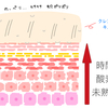 肌断食〜肌とは〜