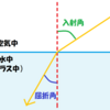 カワセミが魚を捉えるとき光の屈折を補正している