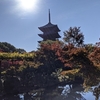 京都旅行記⑥東寺～西本願寺