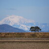 伊吹山遠景