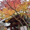 🍂千葉県松戸市　本土寺🍁　２０１８年１２月上旬訪問です