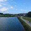 今日のランニング練習はＬＳＤで室見川河川敷ラン20ｋです！