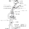 長岩城史跡案内所(28)