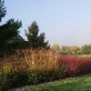 「オタワ観光1」公園の紅葉を楽しむ 