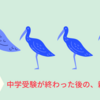 【中学受験】入試が終わった後、親はどう過ごすべきか考えましたか？