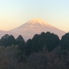 今朝の景色