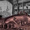 １コラージュ「動物世界」始まり