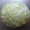 畑の野菜の様子2