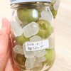 梅シロップ仕込み