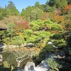 銀閣寺_3_庭とか苔とか・・（京都府京都市左京区）