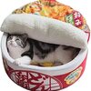 【衝撃】うちの子がカップ麺に！？Modelfurnyの猫犬ハウスが可愛すぎて防寒性も神だった件