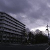 あまり天気良くないねぇ