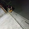 可愛い甥ちゃんを抱っこしたら筋を違えた