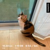 低強度ジョグ＋WS10.34km