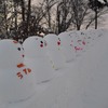 札幌雪祭り”すすきの会場”は氷の世界