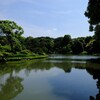 新緑の六義園に行ってきました